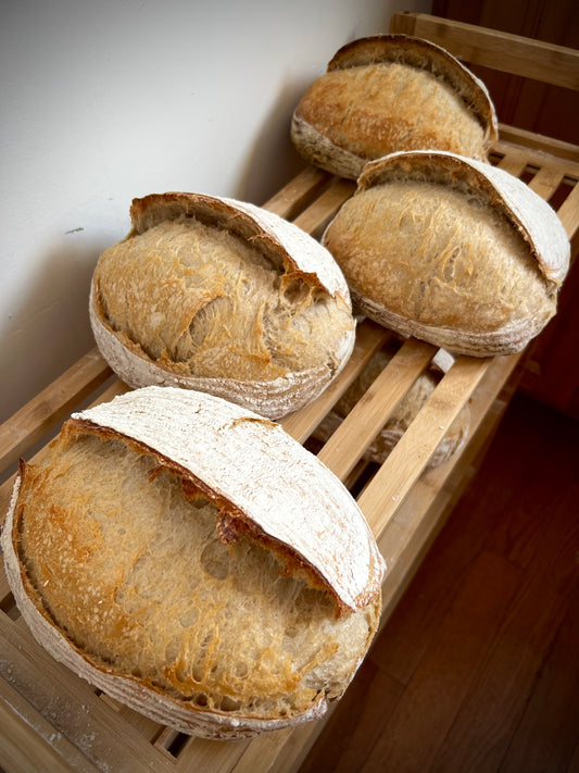 Artisanal Hard Winter Wheat Sourdough Loaf